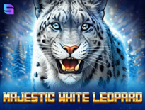 majestic white leopard